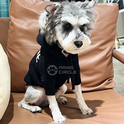 celine hoodie for dogs