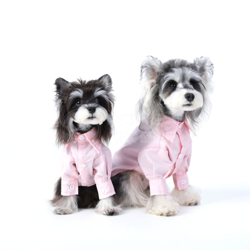 oxford shirt for dogs