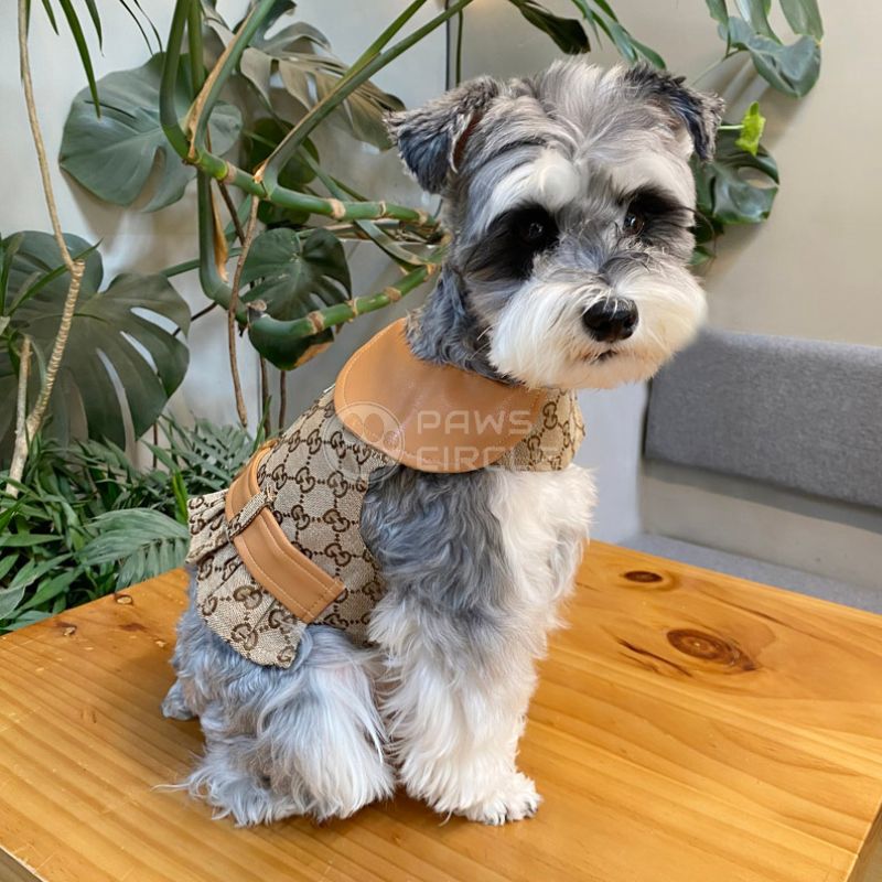 GUCCI MONOGRAM DOG VEST WITH LEASH