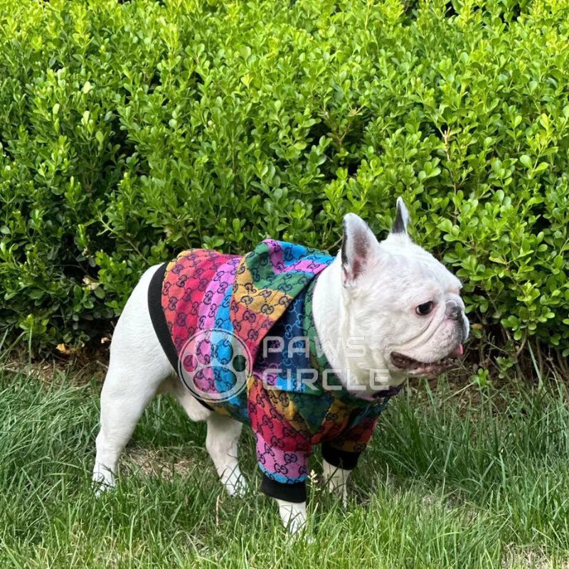 gucci monogram dog jumper