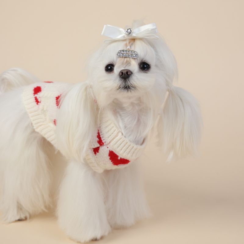 heart shape knit dog sweater
