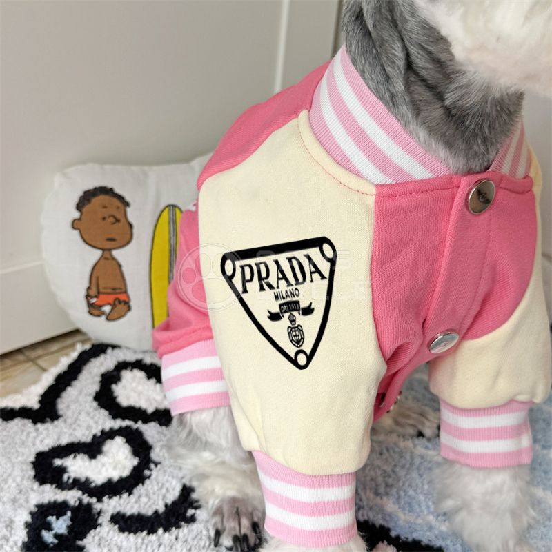 Dog wearing a pink and cream outfit with a Prada logo, sitting on a rug.