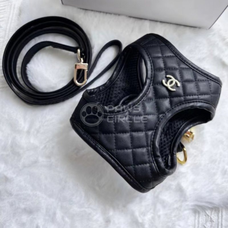 Chanel Dog leash and harness
