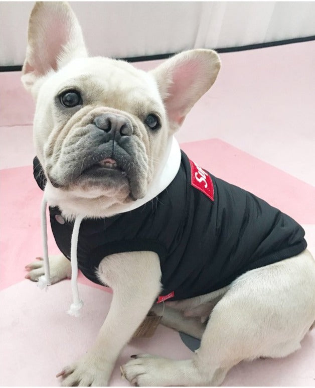 supreme dog winter coat