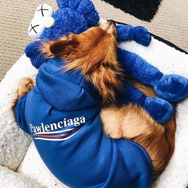 Pawlenciaga dog hoodie