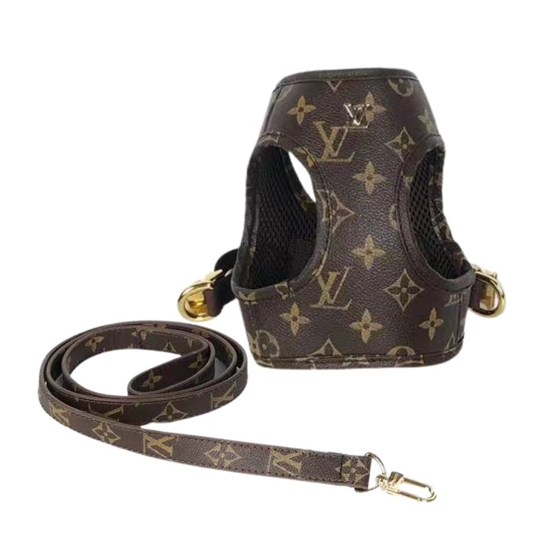 Extra Small Louis Vuitton Dog Collar and Leash