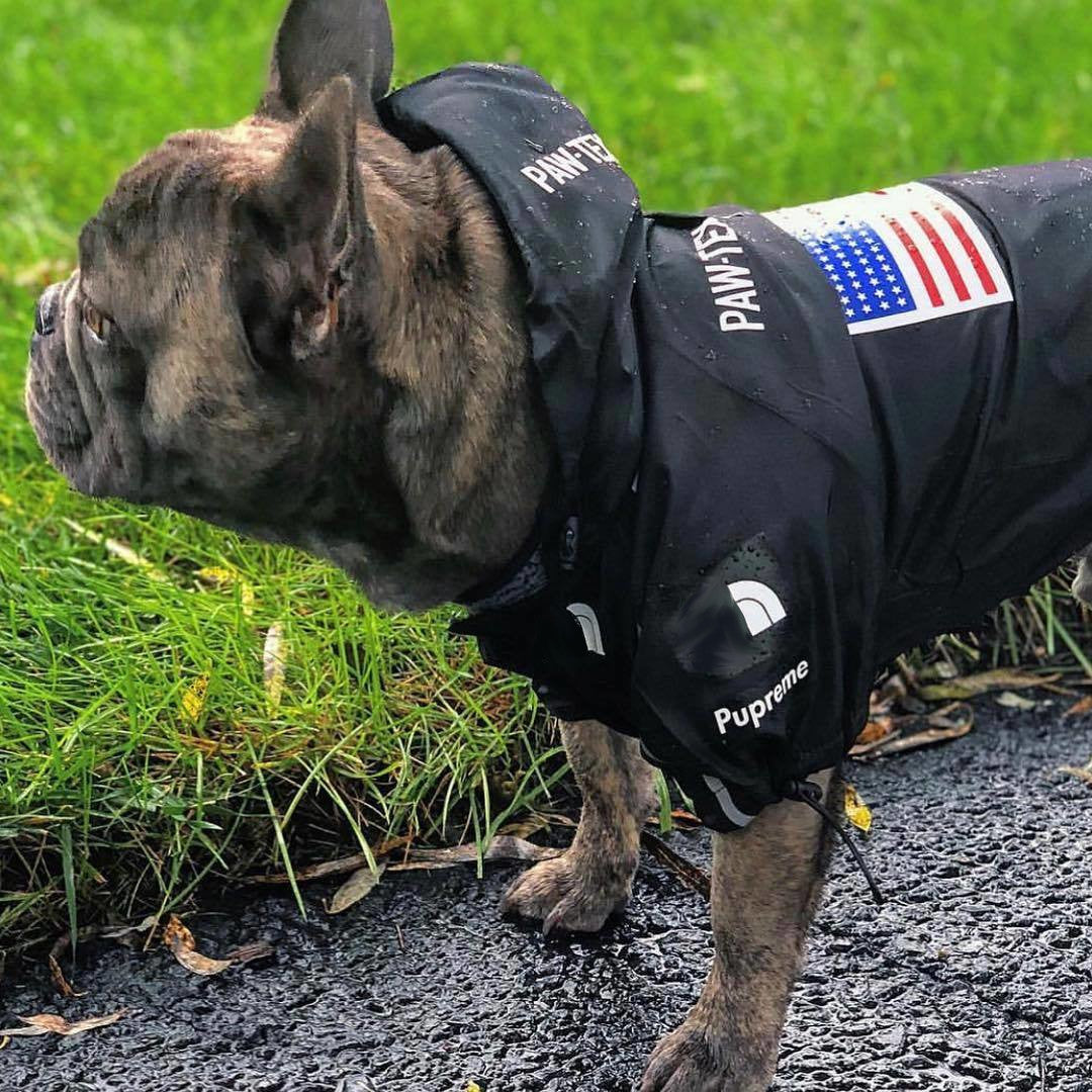 Pupreme Dog Face rain coat