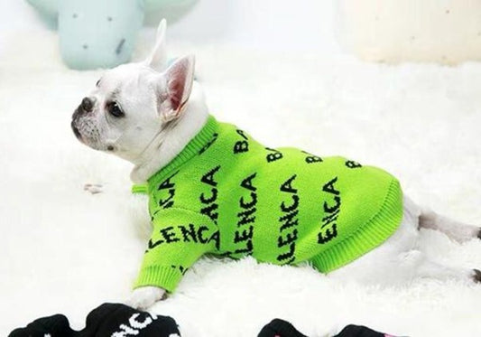 Should Dogs Wear Clothes: Benefits, Studies & Myths of Dressing Your Pet