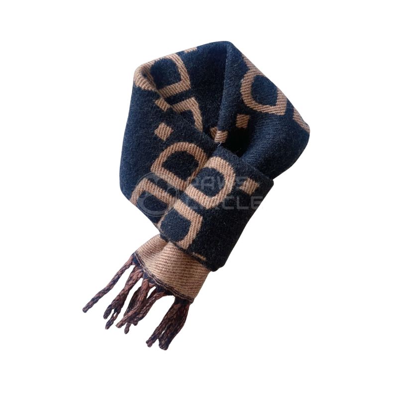 Balenciaga BB scaves for dog