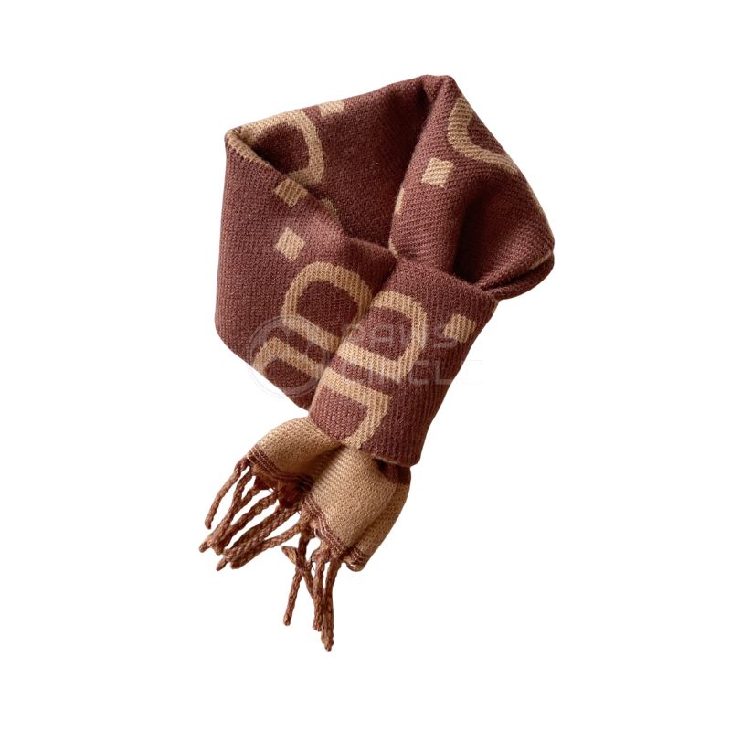 Balenciaga BB scaves for dog