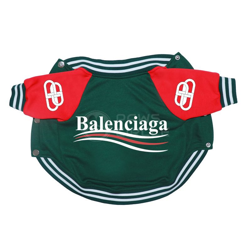 Green and red Balenciaga dog jersey on a white background