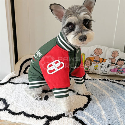 Dog wearing a green and red jacket with striped cuffs on a white rug.