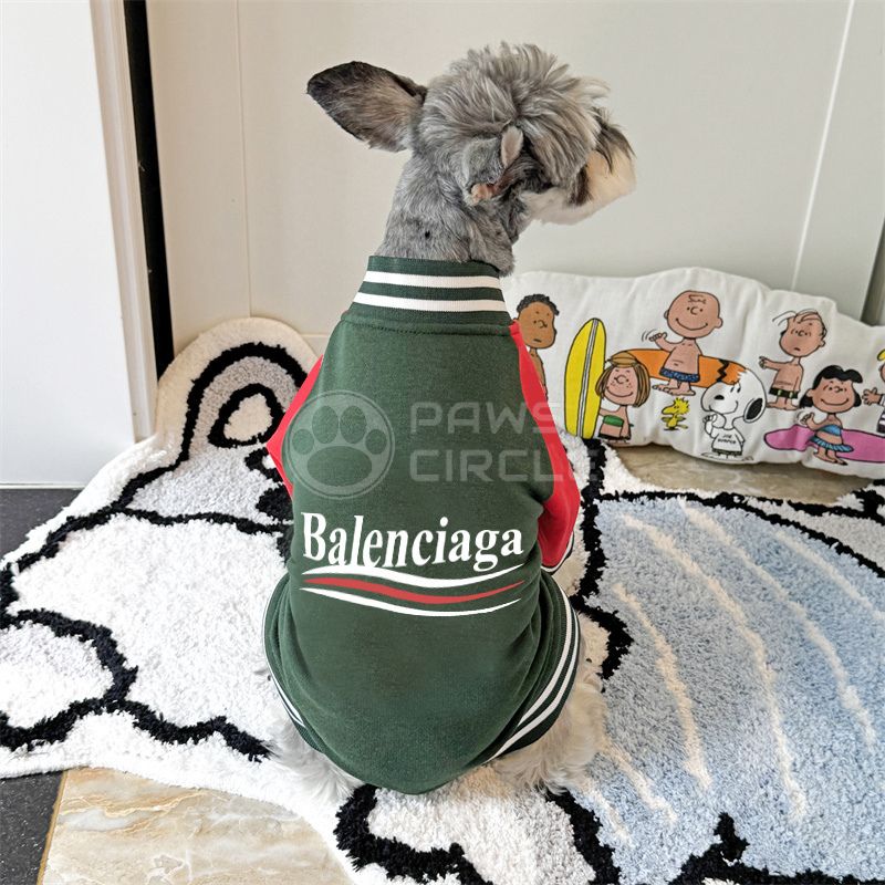 Dog wearing a Balenciaga outfit sitting on a rug with a Snoopy pillow in the background
