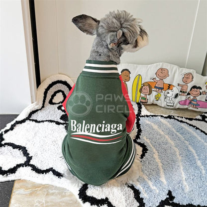 Dog wearing a Balenciaga outfit sitting on a rug with a Snoopy pillow in the background