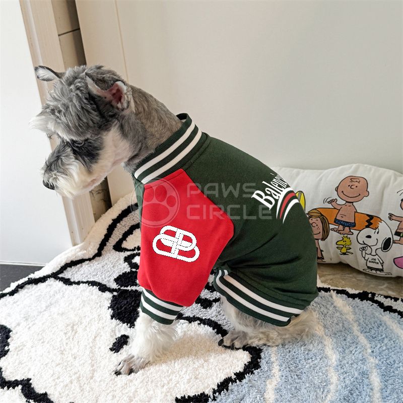 Dog wearing a green and red jacket with a visible brand logo on a patterned rug.