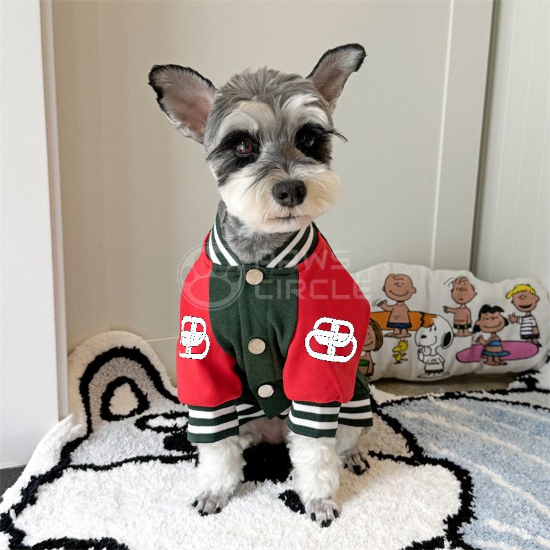 Dog wearing a red and green jacket with buttons on a white rug.