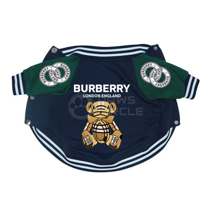 Burberry dog outfit with logo and teddy bear design on a white background