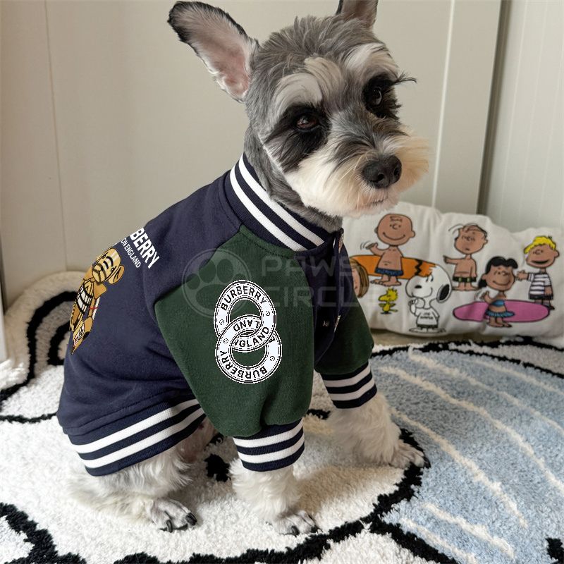 Pawberry Bear Varsity Jacket