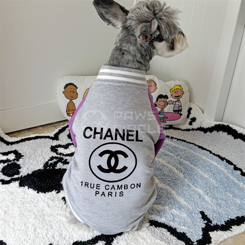 Dog wearing a Chanel jacket on a rug with cartoon pillows in the background