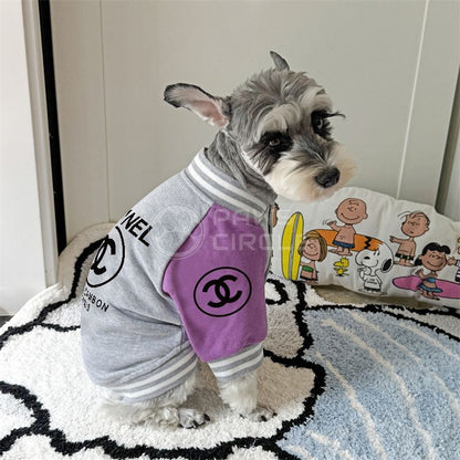 Dog wearing a Chanel outfit on a rug with a Snoopy pillow in the background