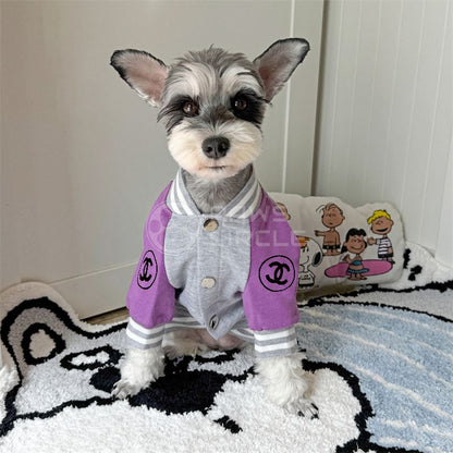 Dog wearing a purple and gray outfit with Chanel logos on a carpeted floor.
