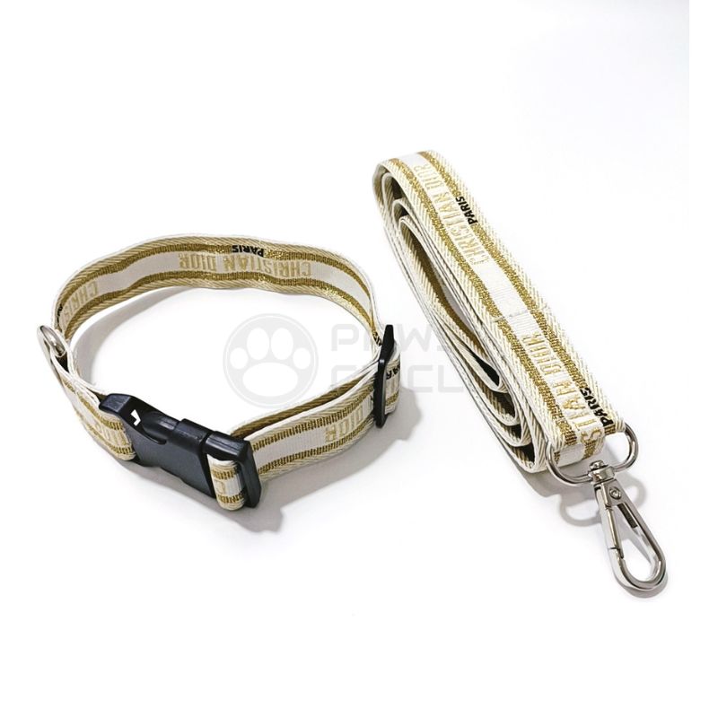 Chewing Dogior Collar & Leash, Paws Circle