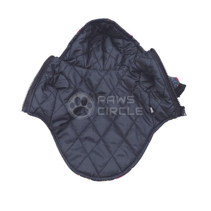 chanel chain jacket for dog