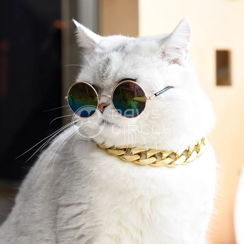 PETS GOLD CHAIN