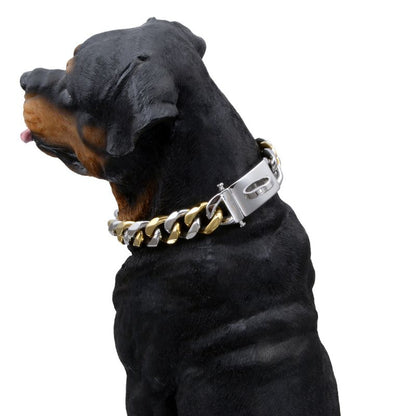 dog with cuban link necklace
