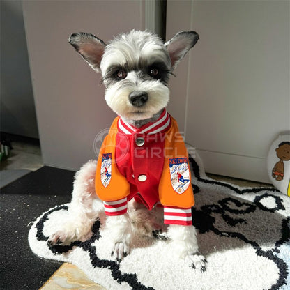 christian dior varsity jacket for dog