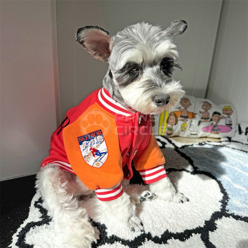 Christian Dior varsity jacket for dog