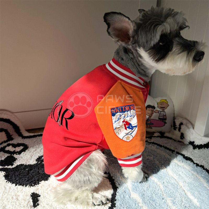 Christian Dior varsity jacket for dog