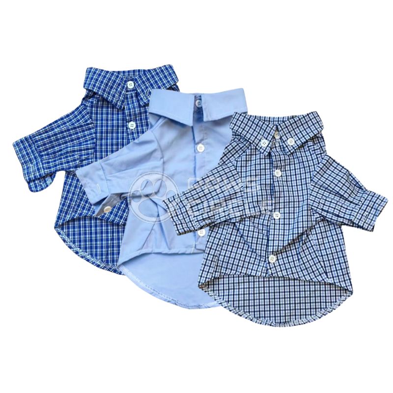 oxford shirt for dogs