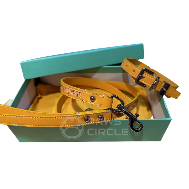 goyard dog collar and leash in yellow
