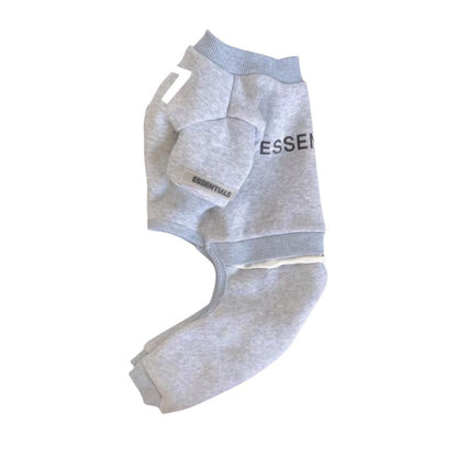 Gray dog hoodie with 'Essential' text on a white background