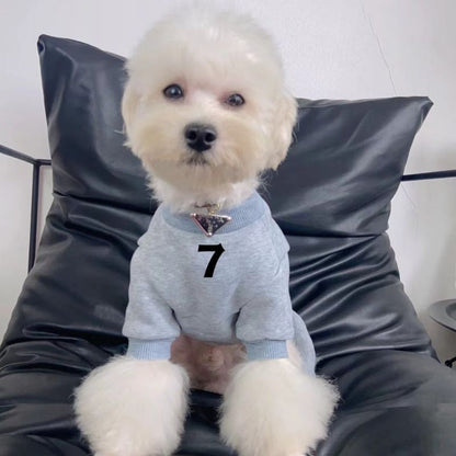 Small white dog wearing a gray sweater with a number 7 on a dark gray chair.