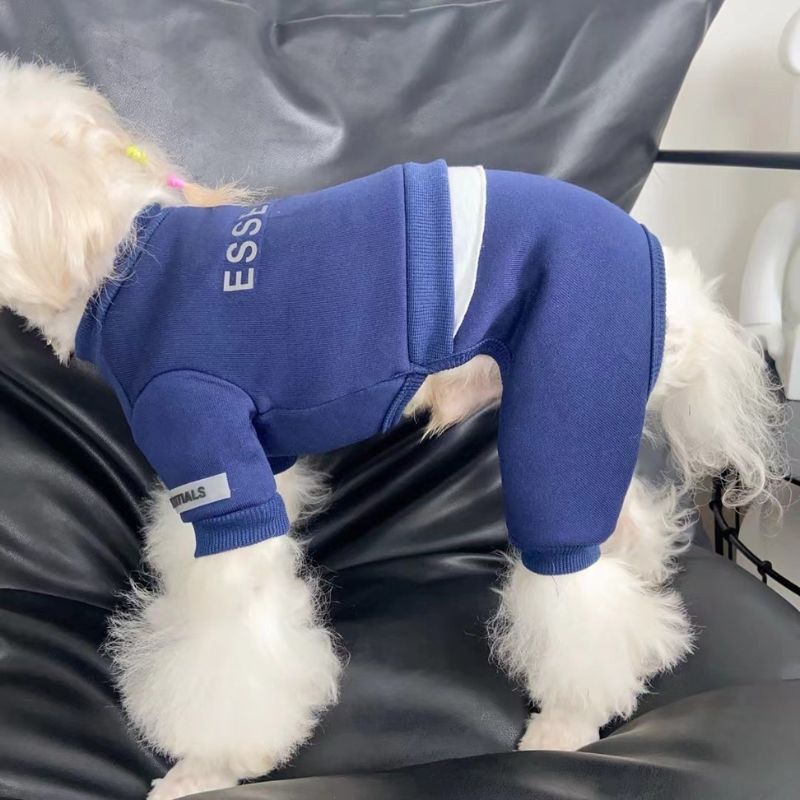 White dog wearing a blue hoodie with 'Essential' branding on a black surface.