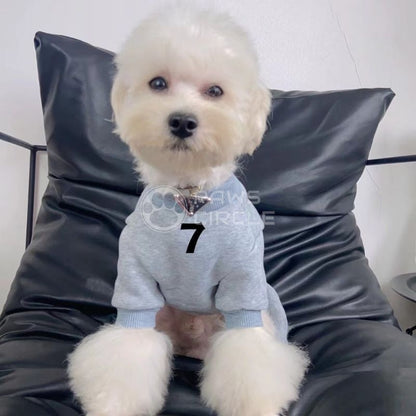 Fear of Dog Essentials Sweatsuit