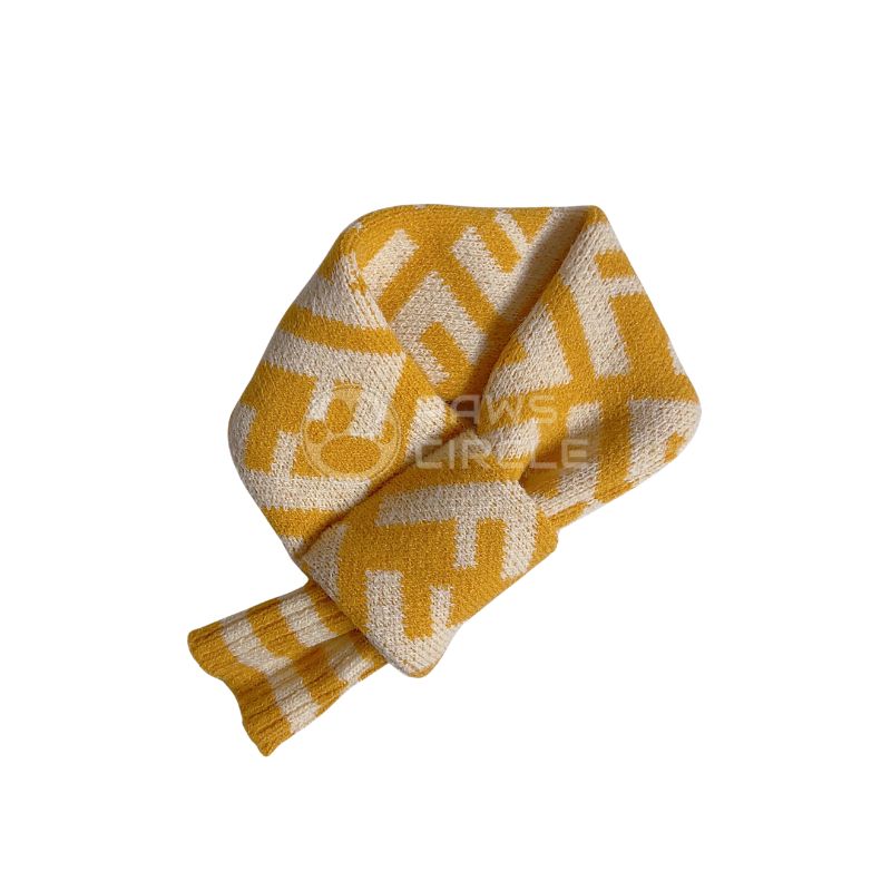 Fendi scarf for dog