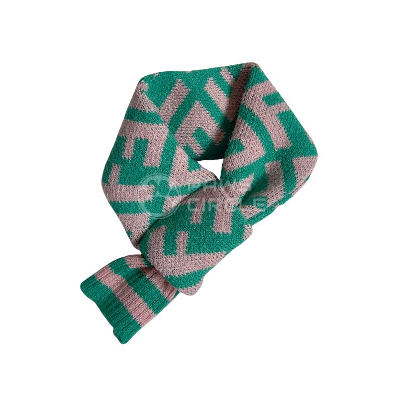 Fendi scarf for dog