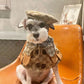 dog in gucci cape and beret hat