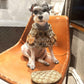 gucci monogram hat and cape for dogs