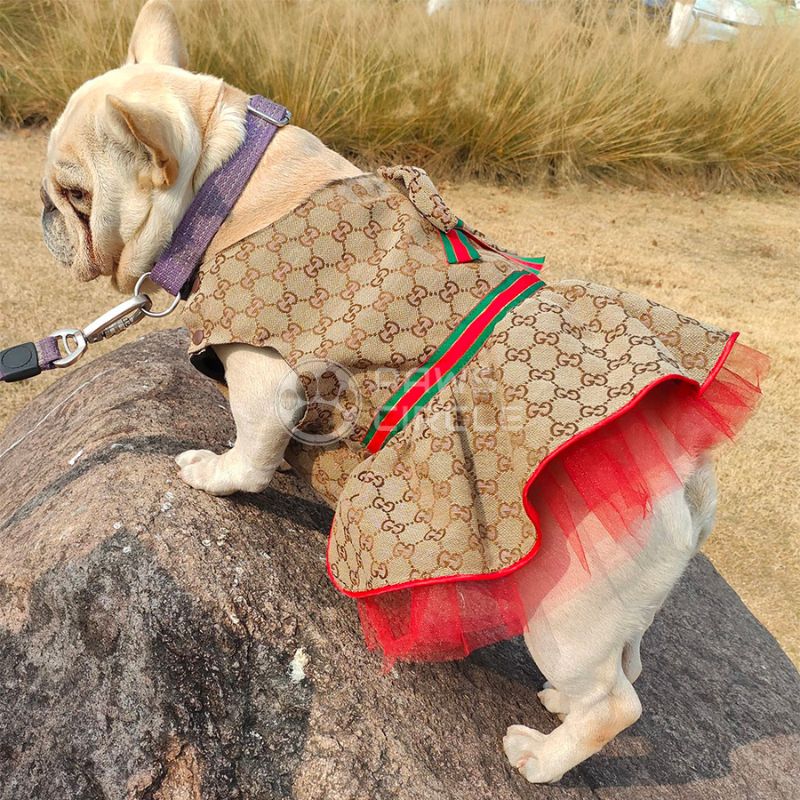 Gucci monogram dog dress