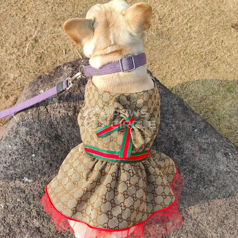 Gucci monogram dog dress
