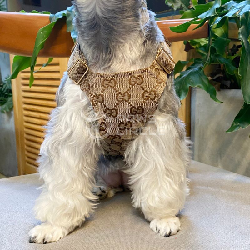 Gucci Monogram Dog Overalls