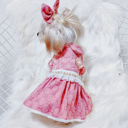 gucci dress for puppy