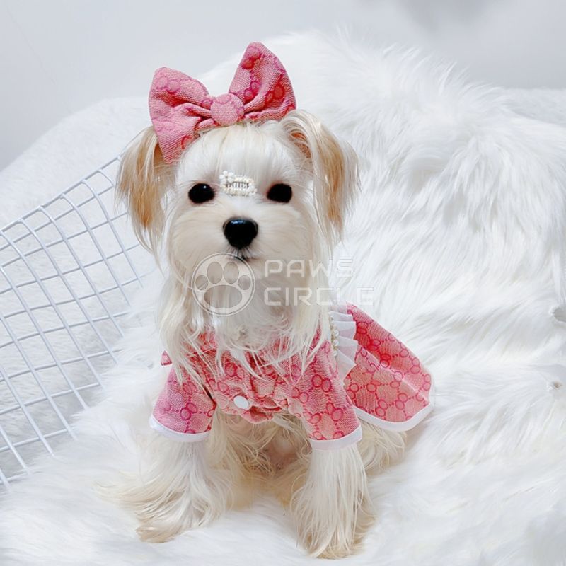 gucci dress for puppy