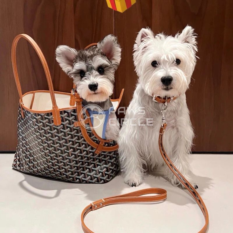 Goyard dog carrier tote bag