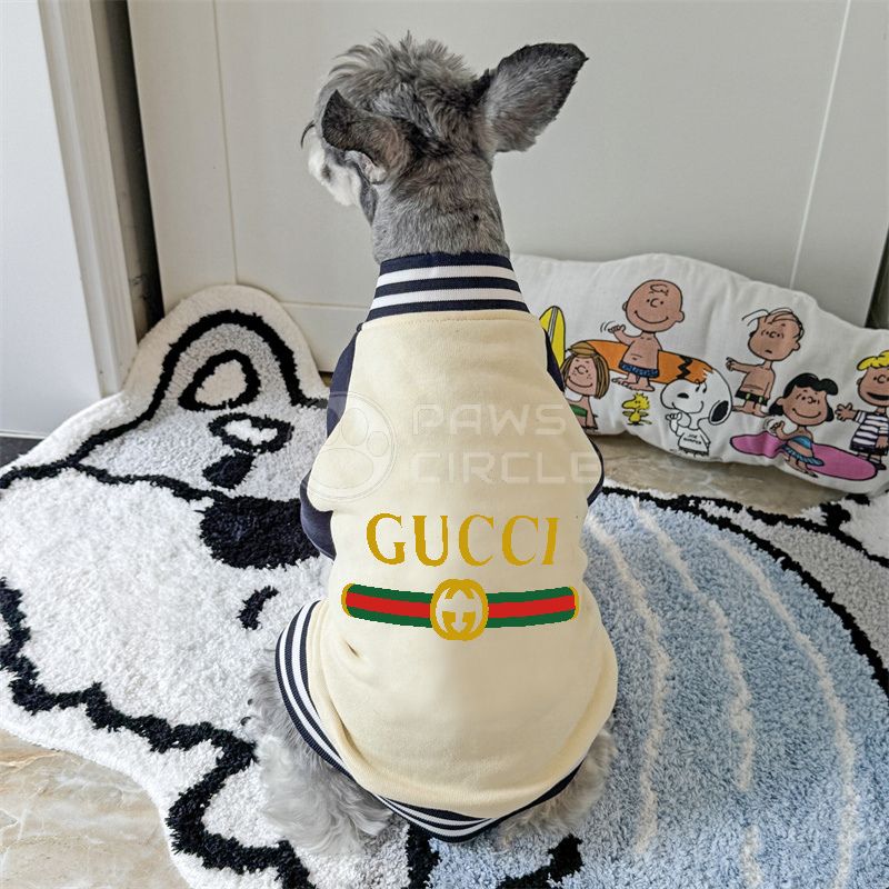 Dog wearing a Gucci-themed outfit sitting on a rug with a Peanuts-themed pillow in the background.