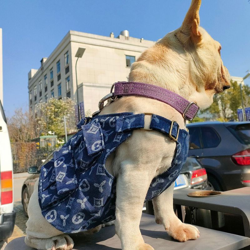 LV Monogram Vest for Dog